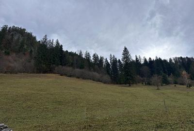 Casă cu 4 camere în Central - 3