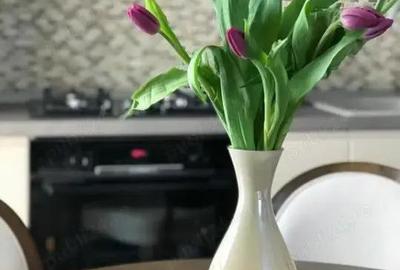 Apartament cu 3 camere decomandat în Tomis Nord - 4