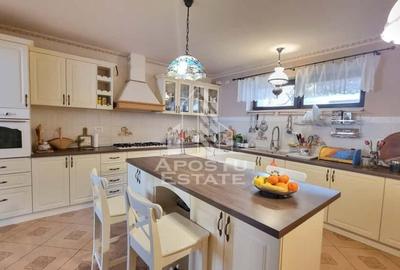 Casa spatioasa, teren generos, Giarmata - 4