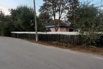 Casă cu 2 camere cu Teren 2007 Mp în Sălcuța - 5