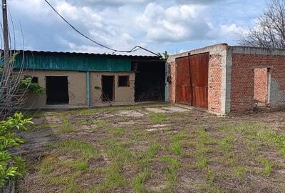 Casă individuală cu 4 camere cu Teren 4239 Mp în Bădeni - 6