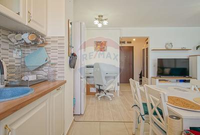 Apartament cu 2 camere semidecomandat, mobilat în Tractorul - 12