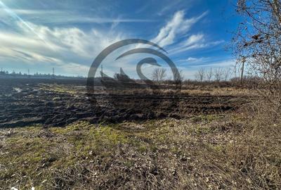 Teren de 10083 mp, în Gorgota - 5