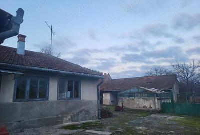 Casă cu 4 camere cu Teren 2500 Mp în Chizătău - 9