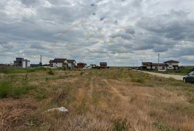 Teren 10.000 mp - Str. Octavian Goga, Craiovei! - 3