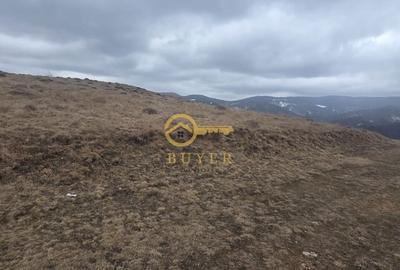 Spațiu comercial, în Rășinari - 2