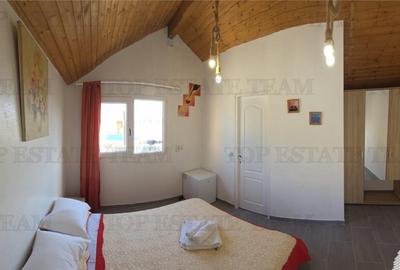 VILA SUPERBA AFACERE LA CHEIE COSTINESTI - 4