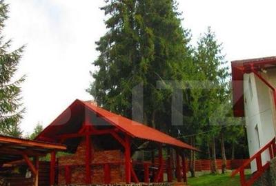 Casă cu 1 camere cu Teren 1500 Mp în Central - 7