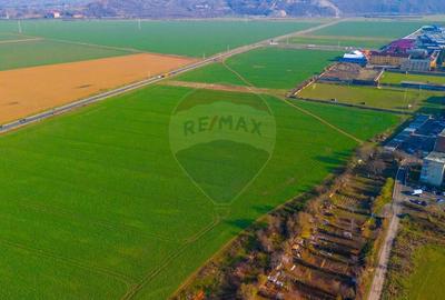 Teren 6,100 mp Brasov / Intravilan/Sacele/Disponibilitate schimb - 10