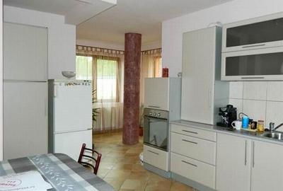 Inchiriere casa cu destinatie birouri in Buna Ziua, Cluj Napoca Inchiriere casa cu destinatie birouri in Buna Ziua, Cluj Napoca - 2