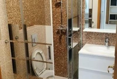 Apartament 2 camere de inchiriat in zona Afi Drumul Taberei - 3