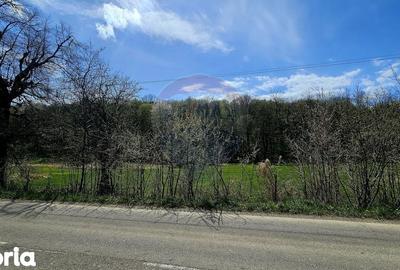 Teren de 10000 mp, în Vânători-Neamț - 13