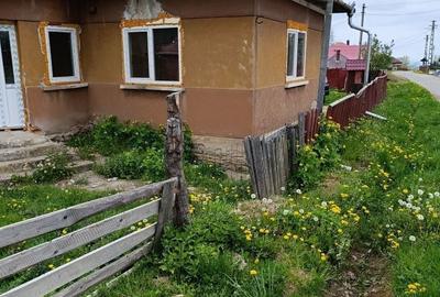 Casă cu 3 camere în Dângău Mare - 2
