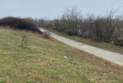 Teren de 4864 mp, în Budești - 5