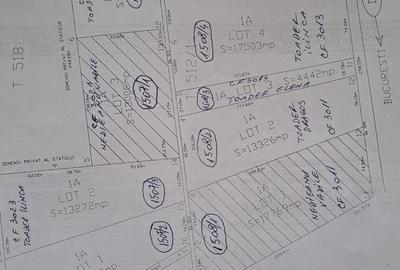 Teren extravilan urziceni DN2 - 1