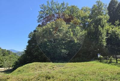 Teren de 4000 mp, în Păscoaia - 13