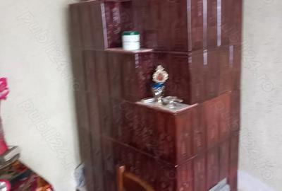 Casa batraneasca si teren de vanzare: Silistraru, Braila - 6