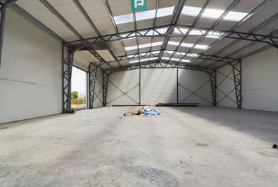 Hală nouă în zona industrială Sânandrei - 2