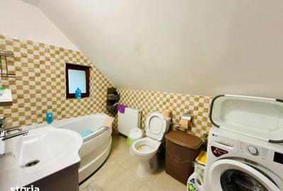 Casă cu 4 camere cu Teren 5500 Mp în Pojorâta - 19