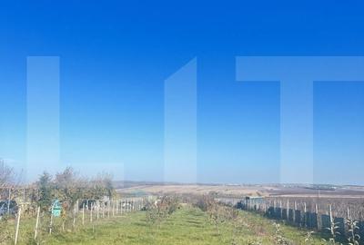 Teren de 5000 mp, în Curtești - 3