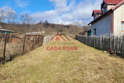 Casă cu Teren 2991 Mp în Cornu - 2