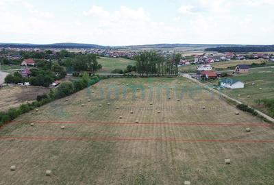 Teren Construcții intravilan de 1319 mp, în Cihei - 1