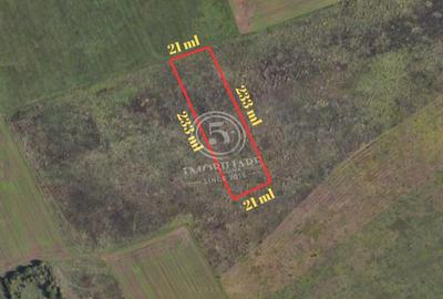 Teren Construcții intravilan de 5000 mp, în Vest - 2