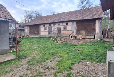 Casă cu 4 camere în Turbuța - 6