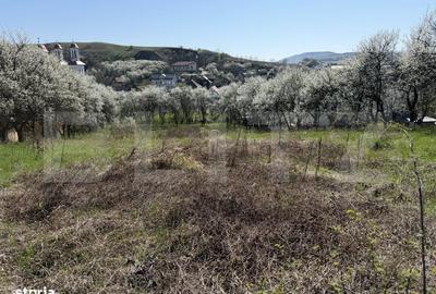 Spațiu comercial, în Crișeni - 1