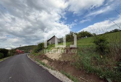 Teren Construcții intravilan de 2100 mp, în Căianu - 1