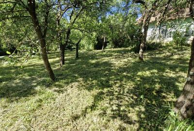 Teren de 1950 mp, în Dioșod - 7