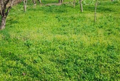 Casă de vânzare într-o zonă superbă, liniștită, aproape de munte! - 4