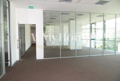 Imobil EXCLUSIVIST/Boutique de birouri, Metrou Universitate, 228mp, clasa A - 3