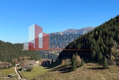 Teren Fundatica intravilan 4500 mp - 13