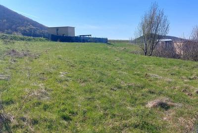 Teren agricol extravilan de 1500 mp, în Poplaca - 3