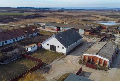 FILM! Complex agrozootehnic cu traditie, echipat + pretios potential multiplu, C - 35