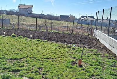 Casă cu 3 camere în Oncea - 3