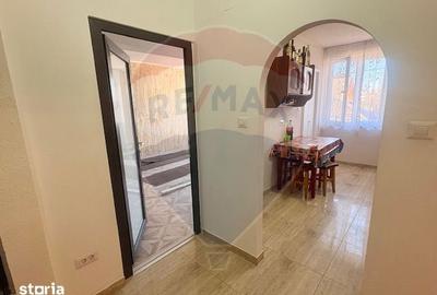 Apartament cu 2 camere, mobilat în Ocna Șugatag - 4