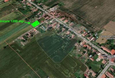 Spațiu comercial, în Variașu Mare - 1