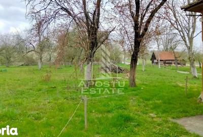 Casă cu 4 camere cu Teren 1079 Mp în Vârfurile - 2