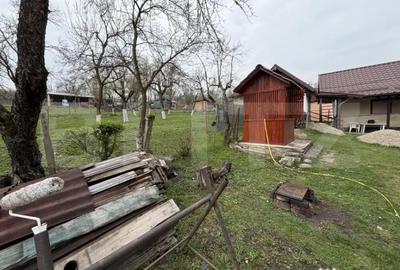 Casă cu 3 camere cu Teren 2000 Mp în Prodănești - 12