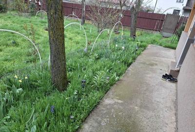 Casă cu 3 camere în Botoroaga - 2