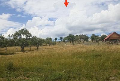 De vanzare teren extravilan in Valea Crisului - 2