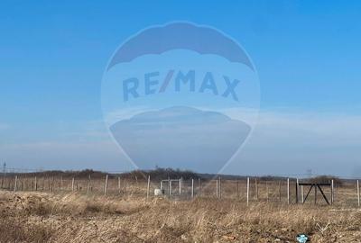 Teren Cihei / 1.632mp/ langa Fundatia Nesu - 2