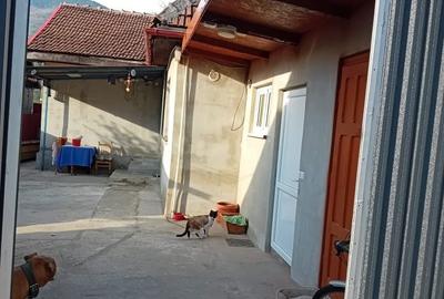 Casă cu 2 camere în Iscroni - 3