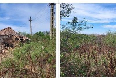 Casă cu 2 camere cu Teren 1691 Mp în Guruieni - 5
