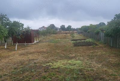 Casă cu 5 camere cu Teren 2000 Mp în Călacea - 8