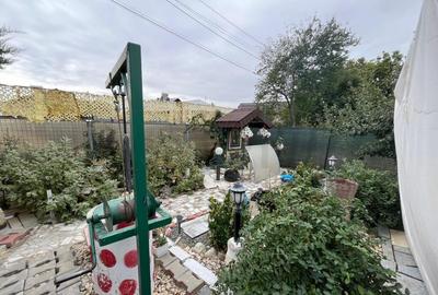 Casa de vacanta din lemn cocheta in Gaesti - 3