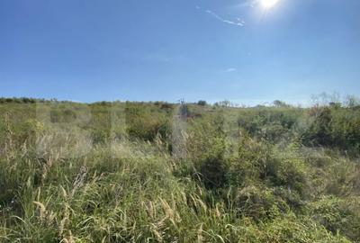 Teren de 3800 mp, în Crișeni - 6