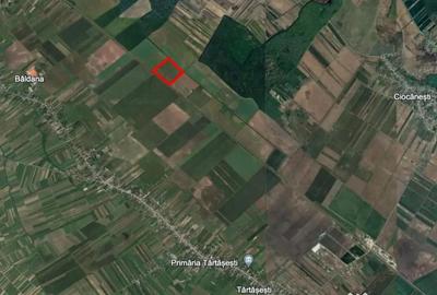 Teren de 133400 mp, în Tărtășești - 3